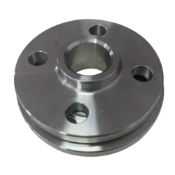 OEM Customized Flange